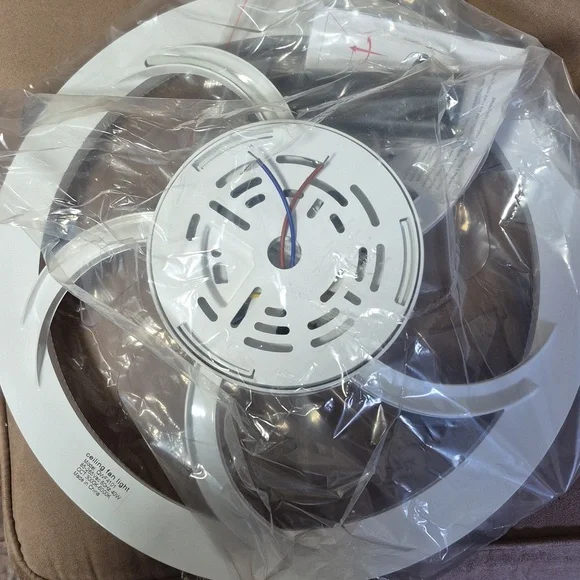 Ceiling Light With Fan And Remote. - Picture 2 of 3